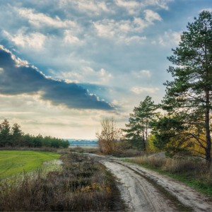 Озимые виды